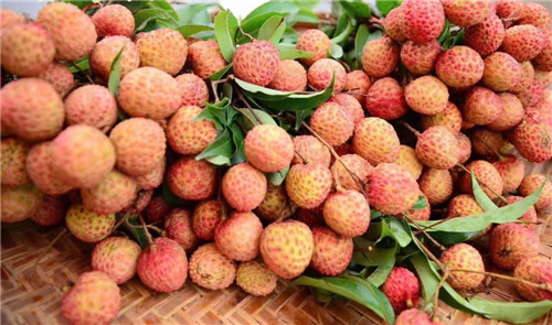 甜蜜约定：今年第一颗糯米糍荔枝，来自广东茂名化州！