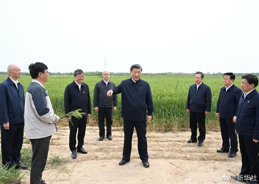 习近平在沧州市考察调研