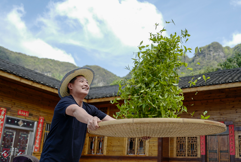 乡村之美｜谋划乡村产业 总书记要求把这3个字琢磨透 